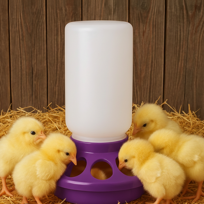 Little Giant 1 Qt Plastic Chick Feeder Jar & Base Set Purple Baby Poultry