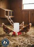 Little Giant 1 Quart Chick Jar & Waterer Base Set Red Baby Poultry Drinker