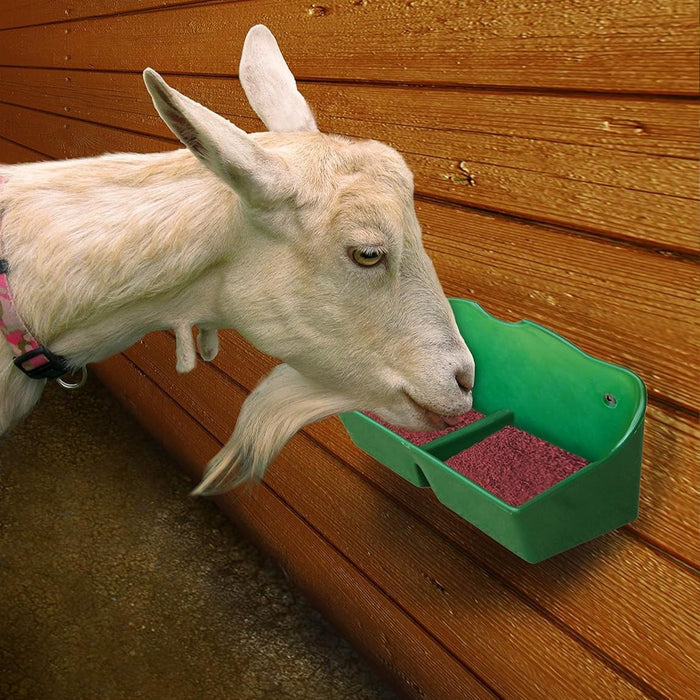 Little Giant 1 Quart Mineral Feeder Green Livestock Salt Block Holder Mountable