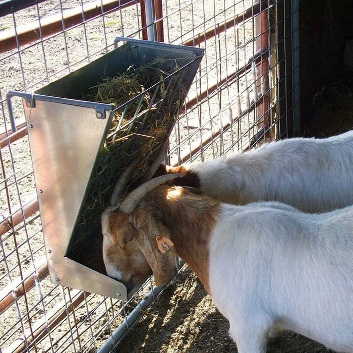 Little Giant Classic Heavy-Duty Metal 2-In-1 Goat Sheep Feeder Little Giant