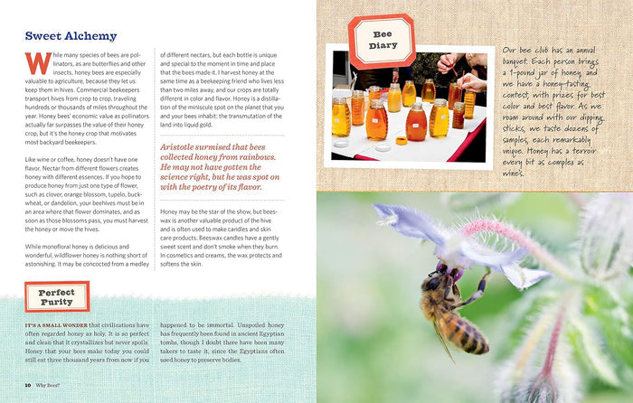 Little Giant Homegrown Honey Bees Book Beginner Beekeeping Guide