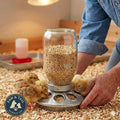 Little Giant Mason Jar Baby Chick Feeder 1 Quart Poultry Galvanized Steel Base