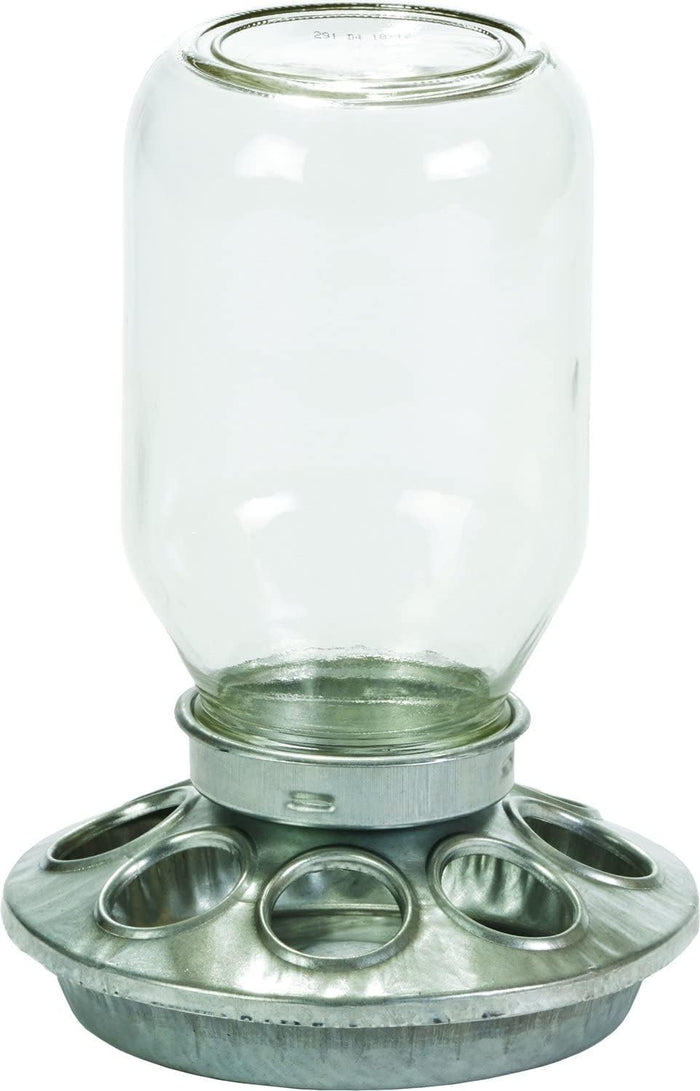 Little Giant Mason Jar Baby Chick Feeder 1 Quart Poultry Galvanized Steel Base