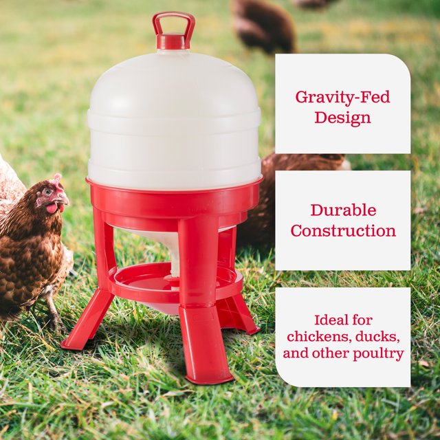 Little Giant Plastic Poultry Dome Waterer 8 Gallon Top Fill Chicken Waterer