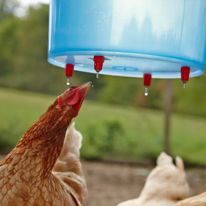 Little Giant Poultry Watering Nipples Chicken Waterer 4 Pack