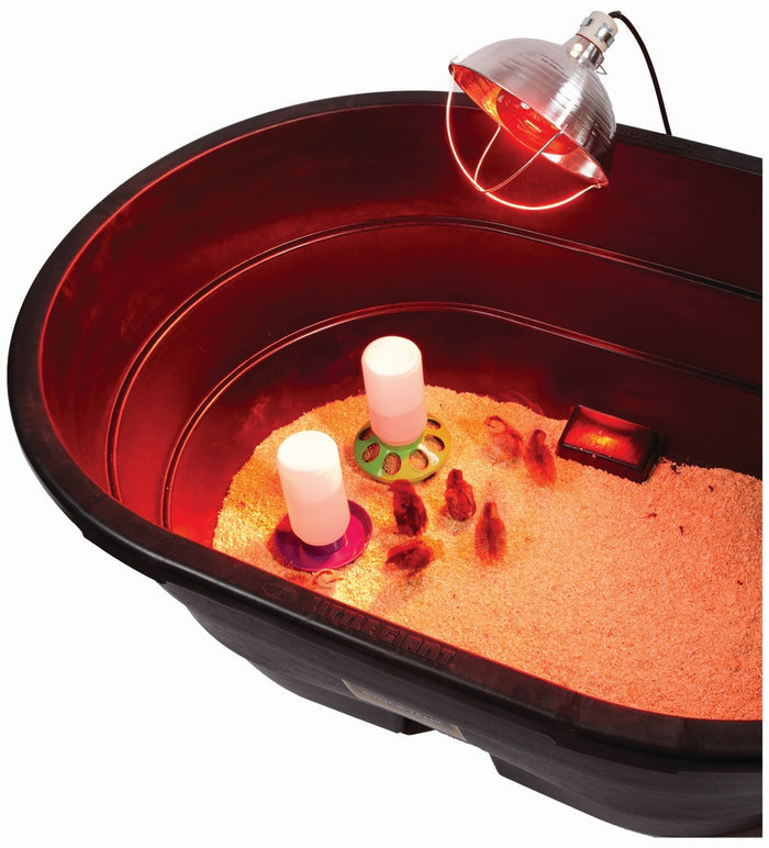 Little Giant Reflector Clamp Heat Lamp 10.5" Chicks Poultry Brooder Fixture 250W