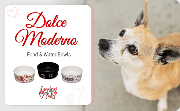 Loving Pets Dolce Moderna Bowl Bad To The Bone, 5.92 Cups LG