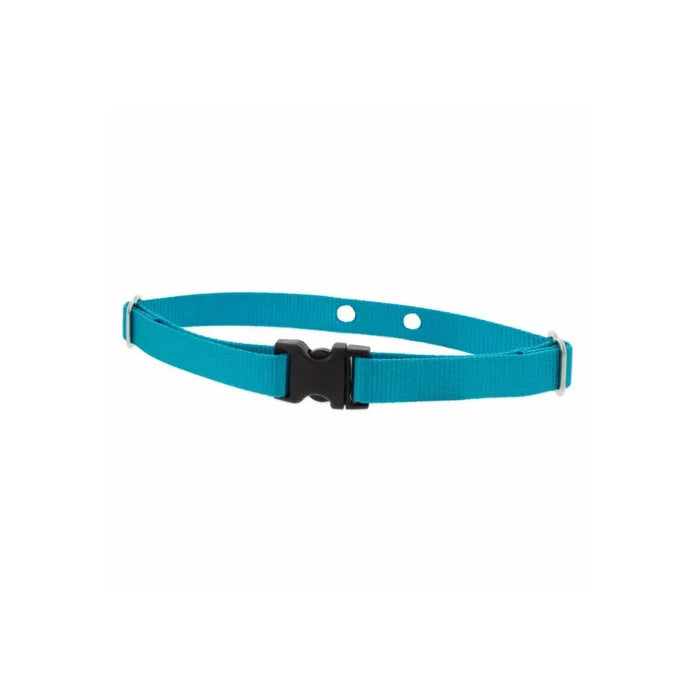 Lupine Pet 2 Hole Adjustable Nylon Replacement Dog Collar Strap 3/4 inch, Aqua