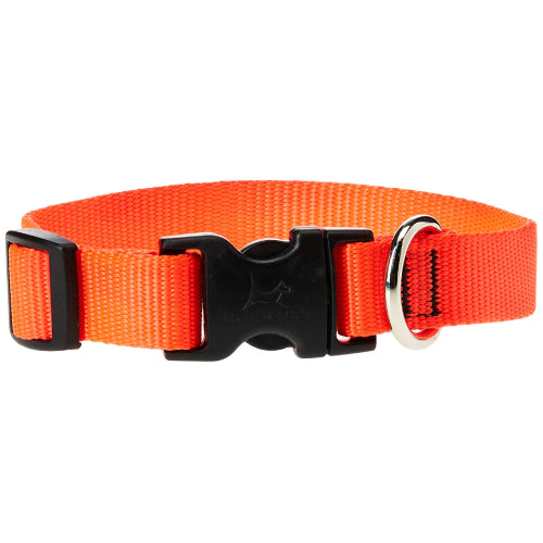 Lupine Pet E-collar Adjustable Nylon Replacement Dog Strap 3/4 inch, Orange