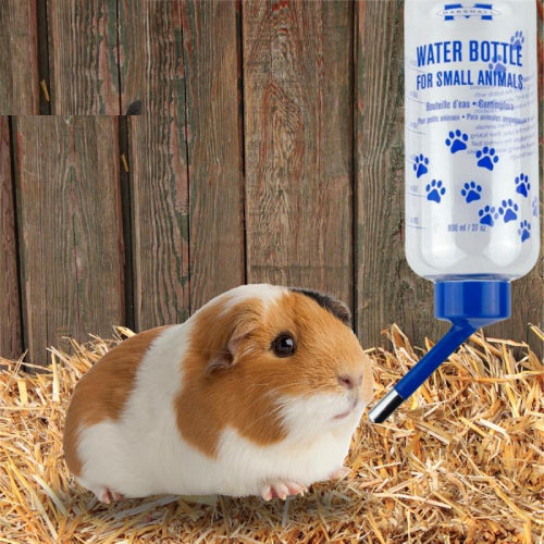 Marshall Pet Products Water Bottle for Small Animals Clear Design Easy to Fill