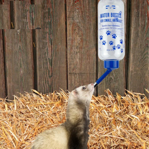 Marshall Pet Products Water Bottle for Small Animals Clear Design Easy to Fill