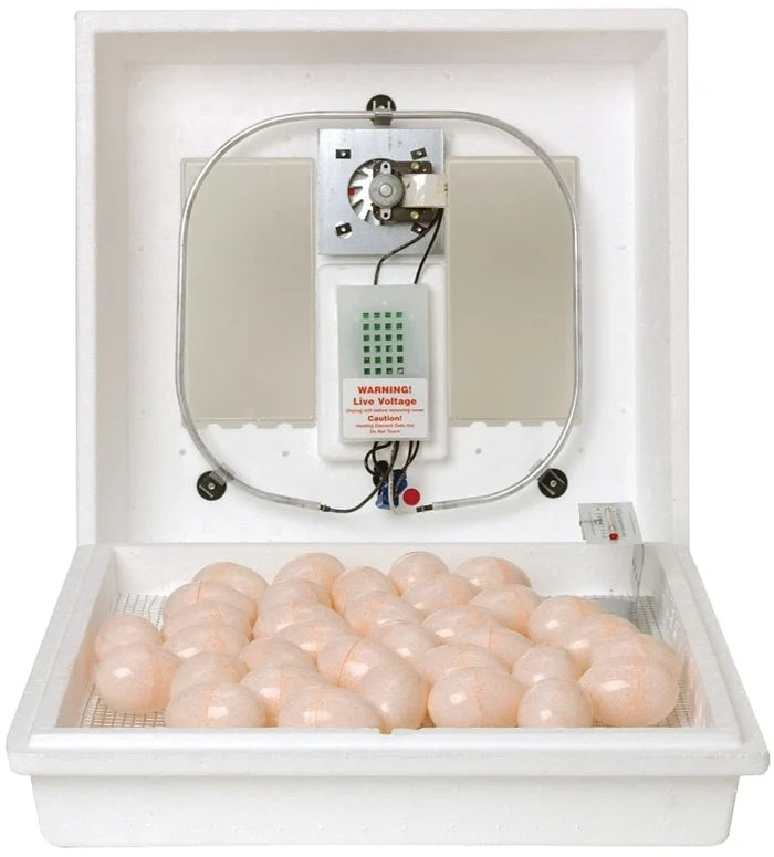 Miller Circulated Air Incubator 10300 Digital for Chickens, Ducks & Quail