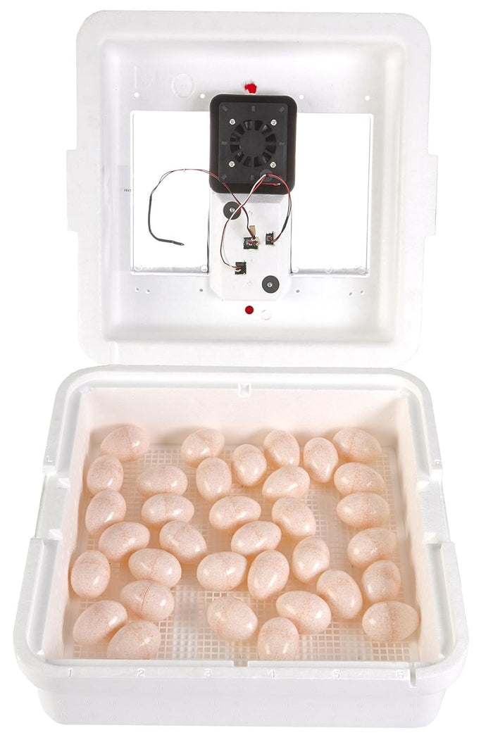 Miller Circulated Air Incubator 10300 Digital for Chickens, Ducks & Quail