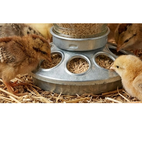 Miller Jar Galvanized Feeder Base for Chick Baby Fits 1 Quart Jar