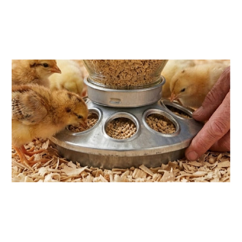 Miller Jar Galvanized Feeder Base for Chick Baby Fits 1 Quart Jar