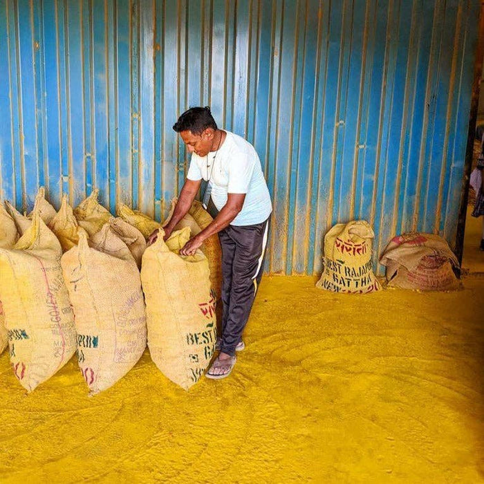 New Harvest Turmeric