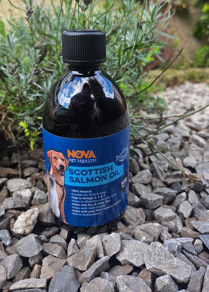 Nova Salmon Oil