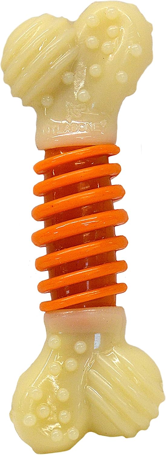 Nylabone Dental Proactive Breath Medium - Bacon Flavor Durable Nylon Chewer Dog Toy