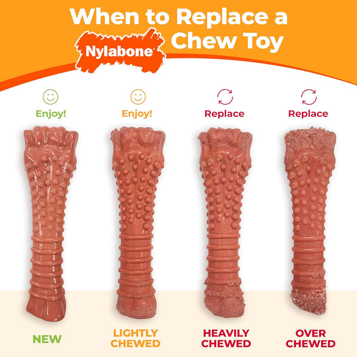 Nylabone Dental Proactive Breath Medium - Bacon Flavor Durable Nylon Chewer Dog Toy
