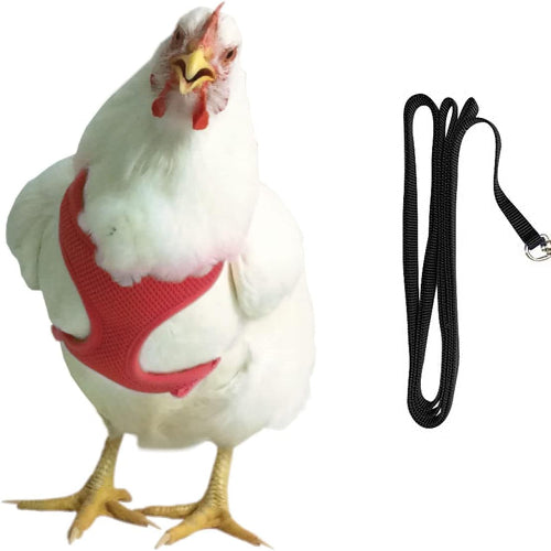 Original Valhoma Chicken Hen Harness Breathable Mesh with Leash Combo