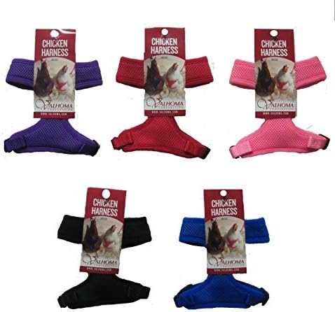 Original Valhoma XS Pullet Chicken Harness Breathable Mesh with 4-Feet Leash Combo