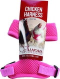 Original Valhoma XS Pullet Chicken Harness Breathable Mesh with 4-Feet Leash Combo