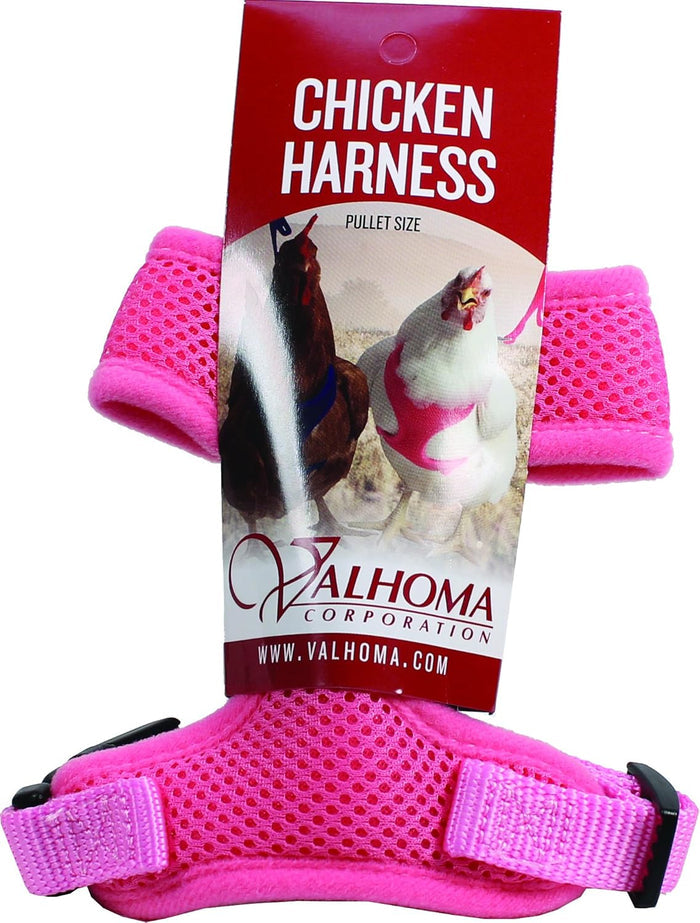 Original Valhoma XS Pullet Chicken Harness Breathable Mesh with 4-Feet Leash Combo