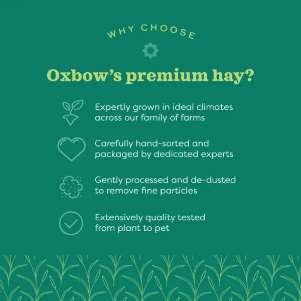 Oxbow Timothy Meadow Hay 35 oz. Oxbow