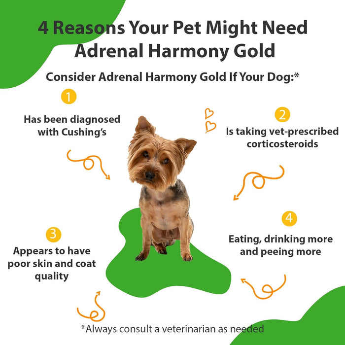 Pet Wellbeing Adrenal Harmony Gold for Dogs 2 oz.