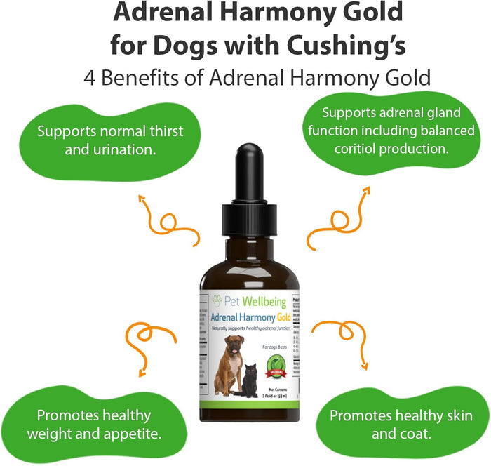 Pet Wellbeing Adrenal Harmony Gold for Dogs 2 oz.