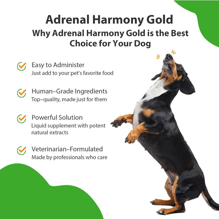 Pet Wellbeing Adrenal Harmony Gold for Dogs 2 oz.