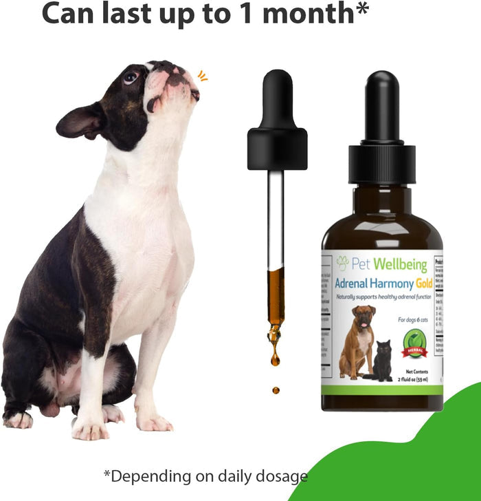 Pet Wellbeing Adrenal Harmony Gold for Dogs 2 oz.
