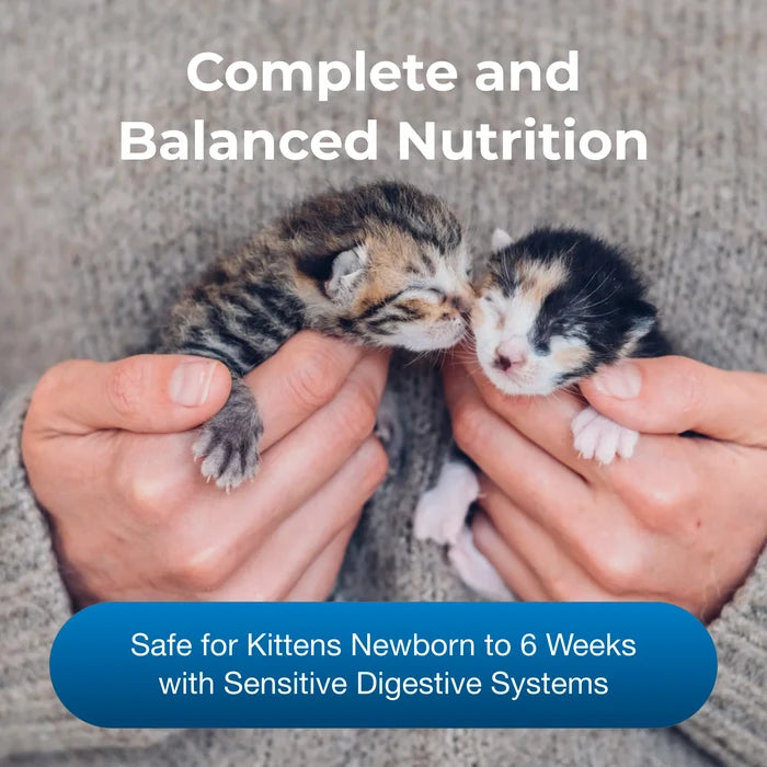 PetAg Goat's Milk Kitten Replacer Powder Sensitive Digestion Probiotics 12 oz.