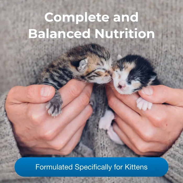 PetAg KMR Ready to Feed Milk Replacer for Kittens and Cats 16 oz. 4-Pack