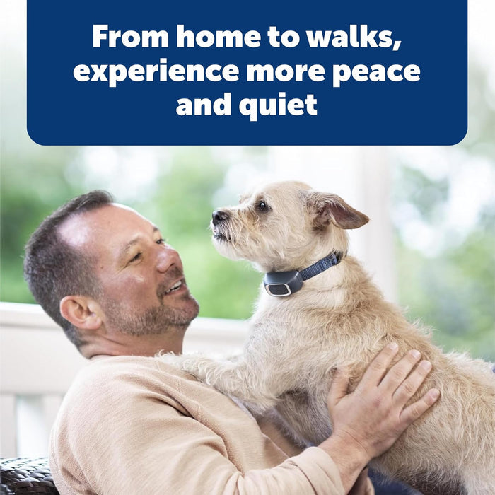 PetSafe Remote Dog Trainer Behavior Training for Medium Large Dogs 100 Yard Range