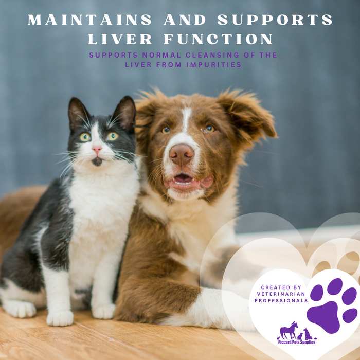 Piccardmeds4pets Denomax SAMe 225mg Dogs & Cats Liver Support 30 Count