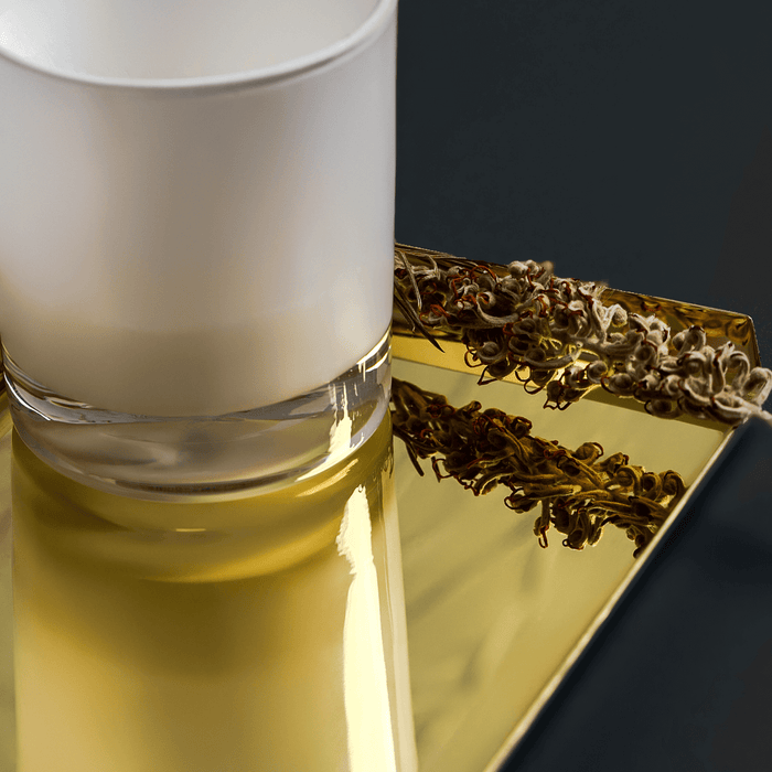 Polished Brass Tray - Medium