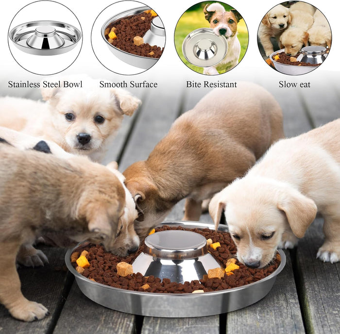 Premium Puppy & Kitten Flying Saucer 11" Metal Dog Food & Water Feeders