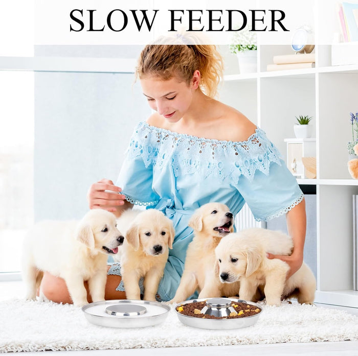 Premium Puppy & Kitten Flying Saucer 11" Metal Dog Food & Water Feeders