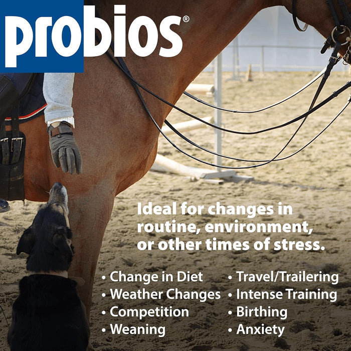 Probios Dispersable Powder 5 lbs.