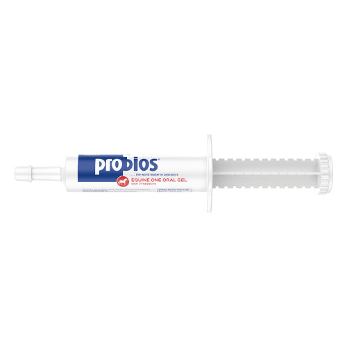 Probios Equine One Probiotic Oral Gel for Horses Digestive Support 30g