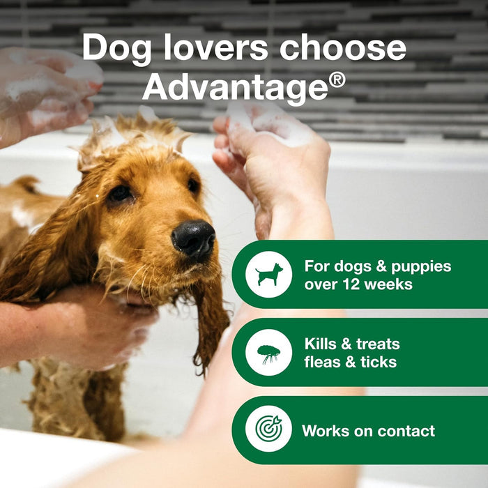 Puppy Dog Advantage Flea Tick Shampoo Dogs & Puppies 8 Oz.