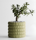 Razai Planter