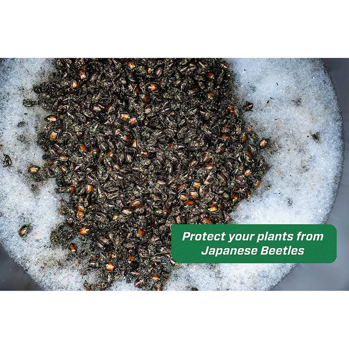 Rescue! Japanese Beetle Trap Reusable Bag RESCUE
