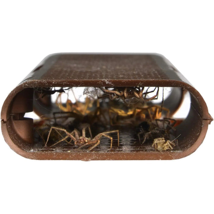 RESCUE! Spider Traps, 3 Traps Rescue!