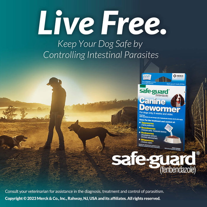 Safe-Guard Panacur (fenbendazole) K9 Dogs 40 lbs 4gm 3-Pack