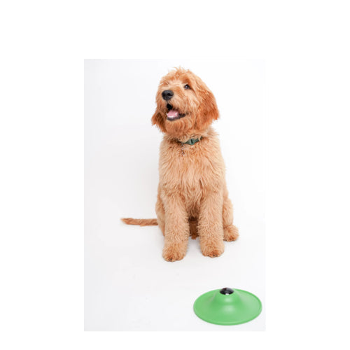Soothing Saucer Dog Anxiety Relief Toy Licking Dispenser Stress Calming Patented