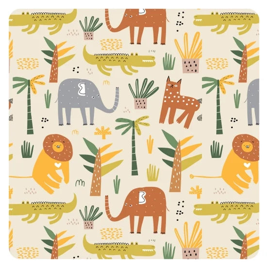 Safari