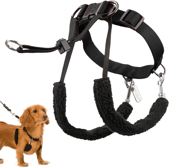 Sporn Training Halter Small Dog No Pull Harness - Padded Sherpa Sleeves Toy Breeds 2-9kg
