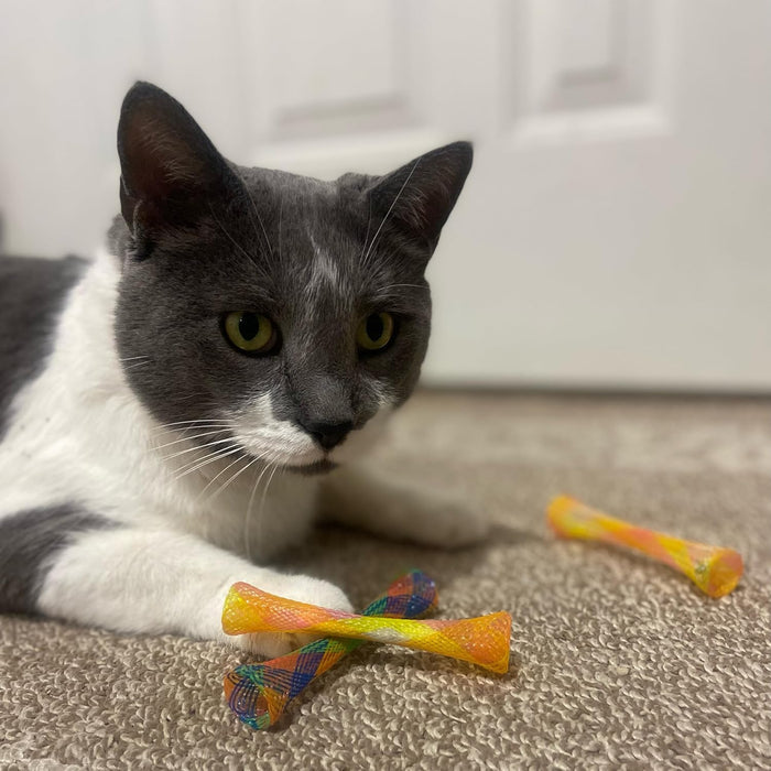 SPOT Kitty Fun Tubes Cat Toy 3pc Catnip Bouncy Interactive Chase Play 2-Pack